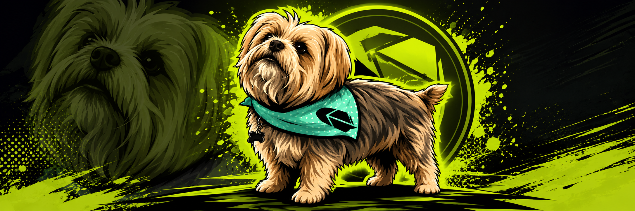 Brodie - Robinhood Dog